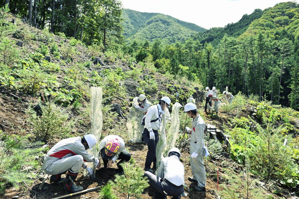 活動